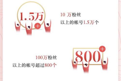 今日头条创作者闪闪,揭秘今日头条创作者的崛起之路